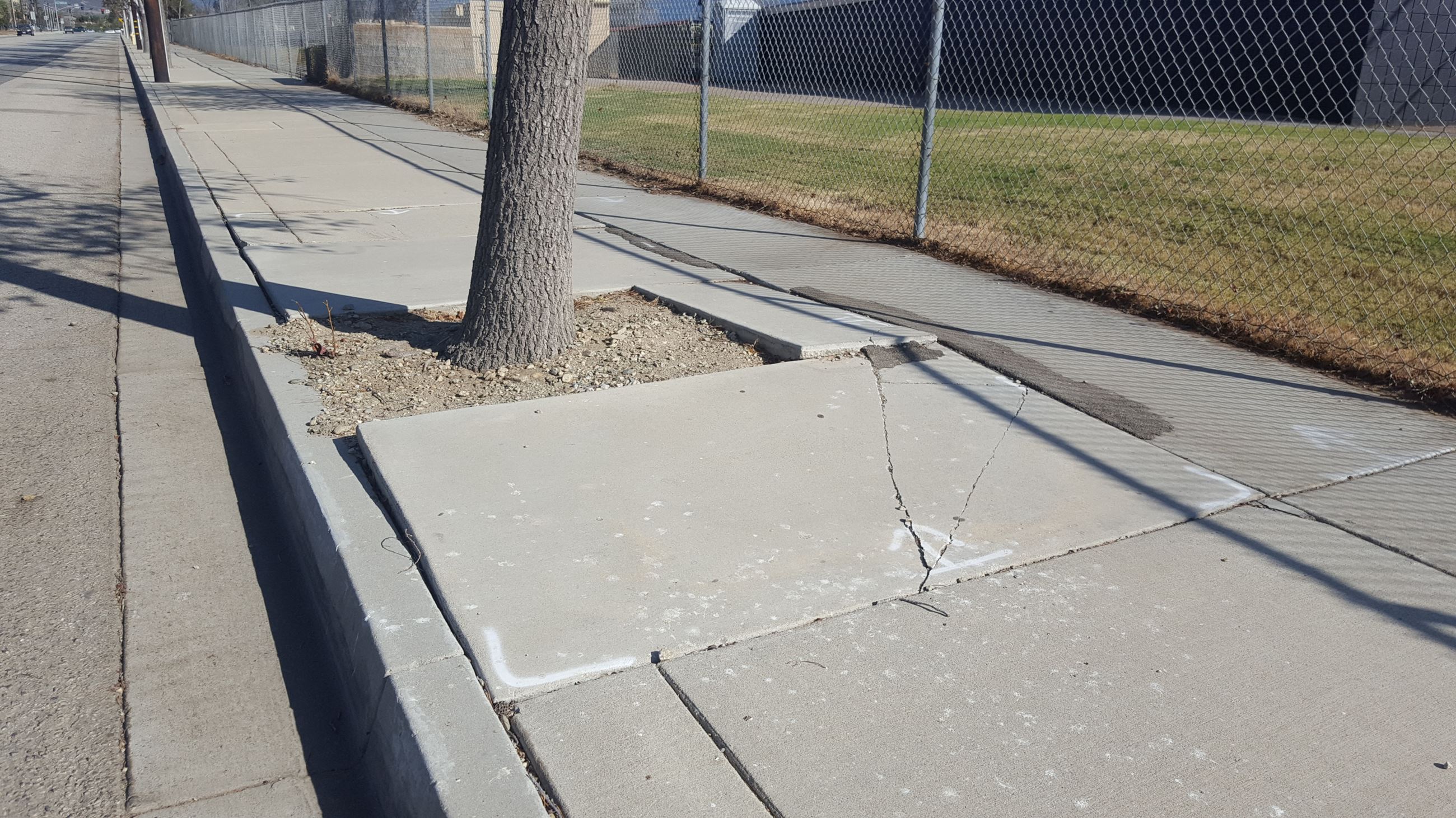 A B Miller H S Sidewalk Photo